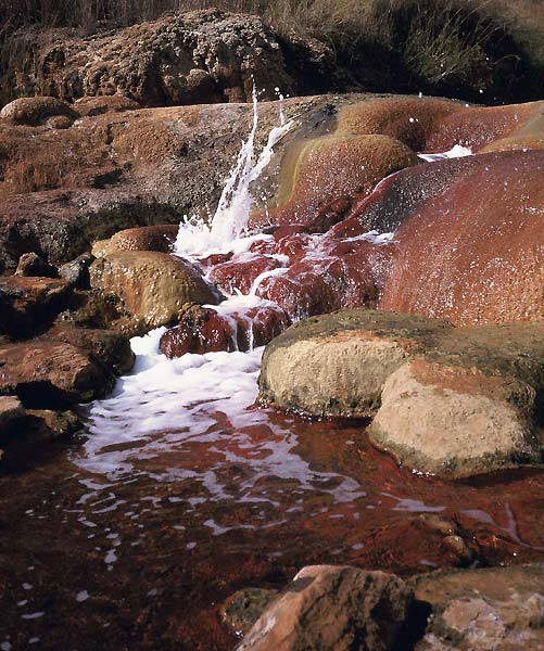 Ruisseau bouillonant et riche en oxyde de fer